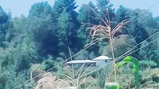status,status video,status song,status whatsap,beast song,good song,video,natural