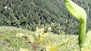 2340,status,status video,status song,status whatsap,beast song,good song,video,natural