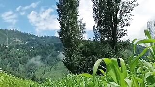 status,status video,status song,status whatsap,beast song,good song,video,natural