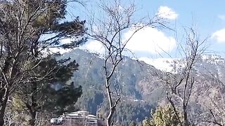 2350,status,status video,status song,status whatsap,beast song,good song,video,natural