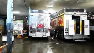Mexican Street Food - The BEST BEEF BIRRIA TACOS in NYC! Birria Landia 2