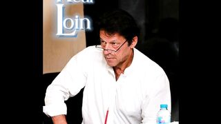 The Real Lion