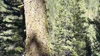 Amazing video 200