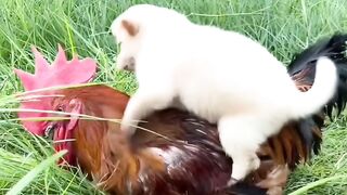 Ohhh so cute