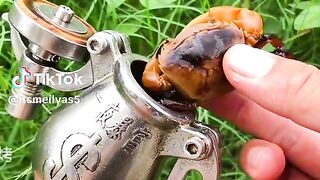 Tutorial memasak 2