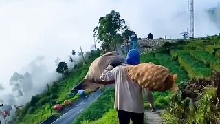 menuju pulang