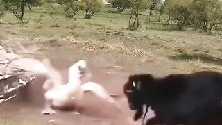 Danger Fighting