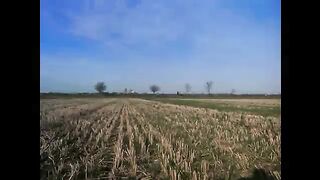 Pink Floyd - High Hopes (Official Music Video HD)