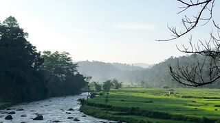 Pagi pagi santuy