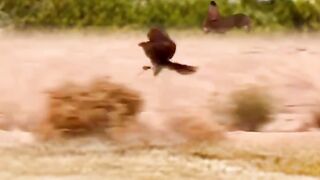 Amazing video 201