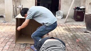 Funny video #funny #viralshorts #entertainment 18