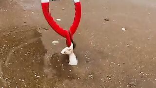 today's beautiful saini video