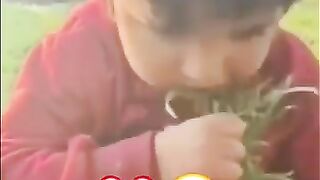 Kids of Palestine