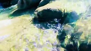 status,status video,status song,status whatsap,beast song,good song,video,natural