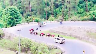 status,status video,status song,status whatsap,beast song,good song,video,natural