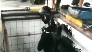 Mechanical fail