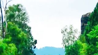 status,status video,status song,status whatsap,beast song,good song,video,natural