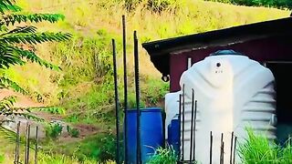 status,status video,status song,status whatsap,beast song,good song,video,natural
