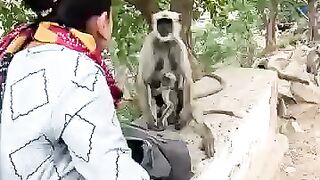 LANGUR KI FAUJ