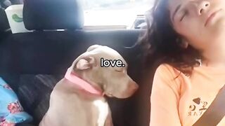 Love❤️ 3
