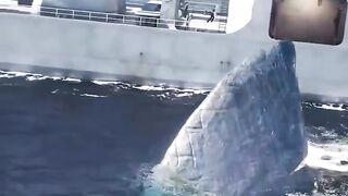 video 745