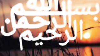 Quran Al Kareem #Quran #surah # 8