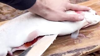 Fish  9 декабря 2023 г