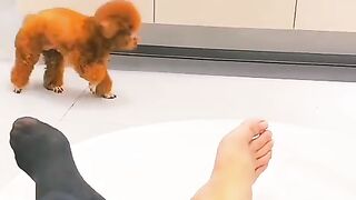 Teasing makes you annoyed