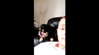 Funny Dogs 2 2