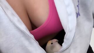 When you have a clingy bird _birds _funnyanimals _funny _funnybirds _parrot _funnypets _crazybirds