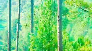status,status video,status song,status whatsap,beast song,good song,video,natural