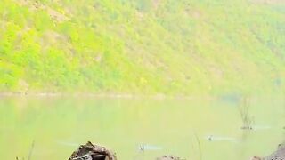 status,status video,status song,status whatsap,beast song,good song,video,natural