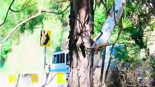 status,status video,status song,status whatsap,beast song,good song,video,natural