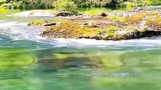Beautifull scenery 2