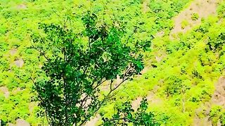 status,status video,status song,status whatsap,beast song,good song,video,natural