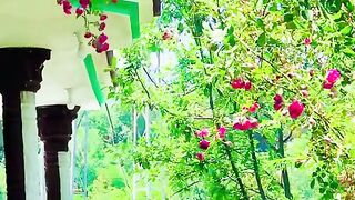 status,status video,status song,status whatsap,beast song,good song,video,natural