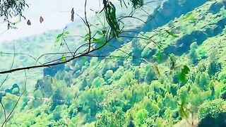 status,status video,status song,status whatsap,beast song,good song,video,natural