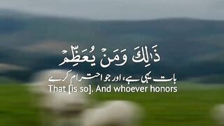 ????️عمیر تمیم???? 3