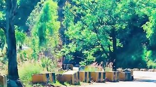 status,status video,status song,status whatsap,beast song,good song,video,natural