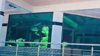 status,status video,status song,status whatsap,beast song,good song,video,natural
