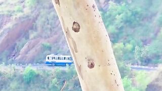status,status video,status song,status whatsap,beast song,good song,video,natural