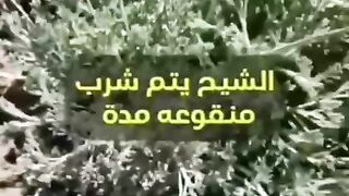 التداوي بالأعشاب