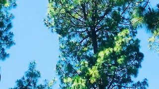 status,status video,status song,status whatsap,beast song,good song,video,natural
