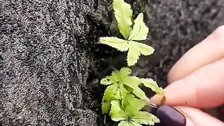 Lihat lah bagaimana sampah menjadi mahakarya!!!