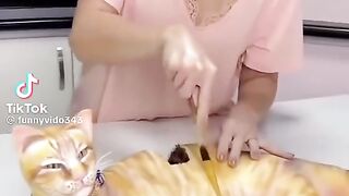 funny video very lafing video 2