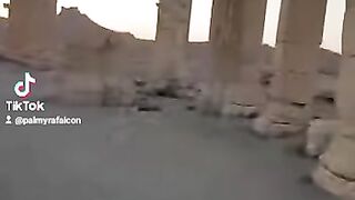 Palmyra 5