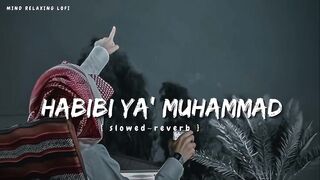 Habibi Ya Muhammad✨ (slowed reverb) Beautiful Nasheed Naat l Lofi Version l Mind Relaxing Naat 2