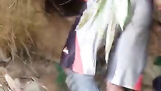Hunting lizards in the forest