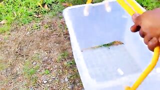 Catch Cute Chickens, Colorful Chickens, Rainbow Chicken, Rabbits, Cute Cats,Ducks,Animals Cute #72