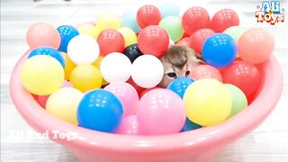 Cat cute cute